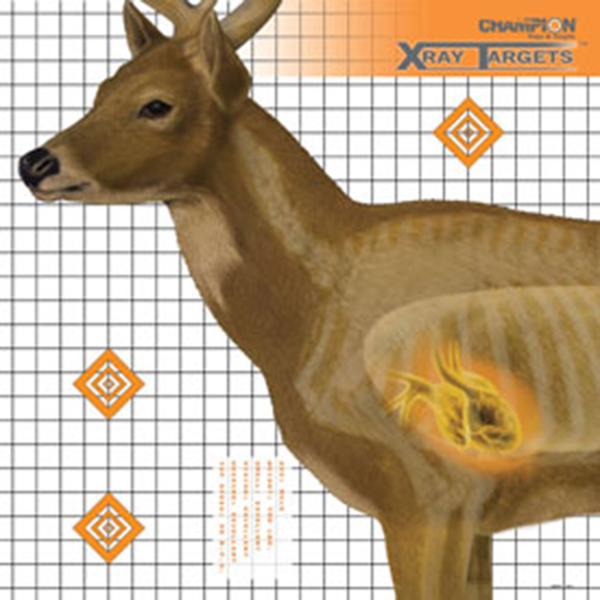 CHAMP TARGET XRAY DEER 25X25 - Hunting Accessories